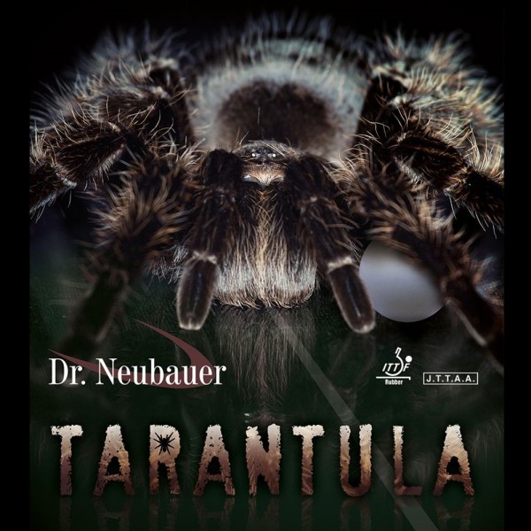 DR. NEUBAUER Tarantula